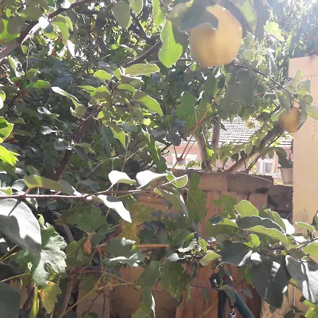Apollo Village Cappadocia Göreme
