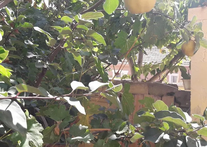 Apollo Village Cappadocıa Göreme